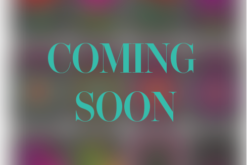The Joy Series  ***Pre-Order***